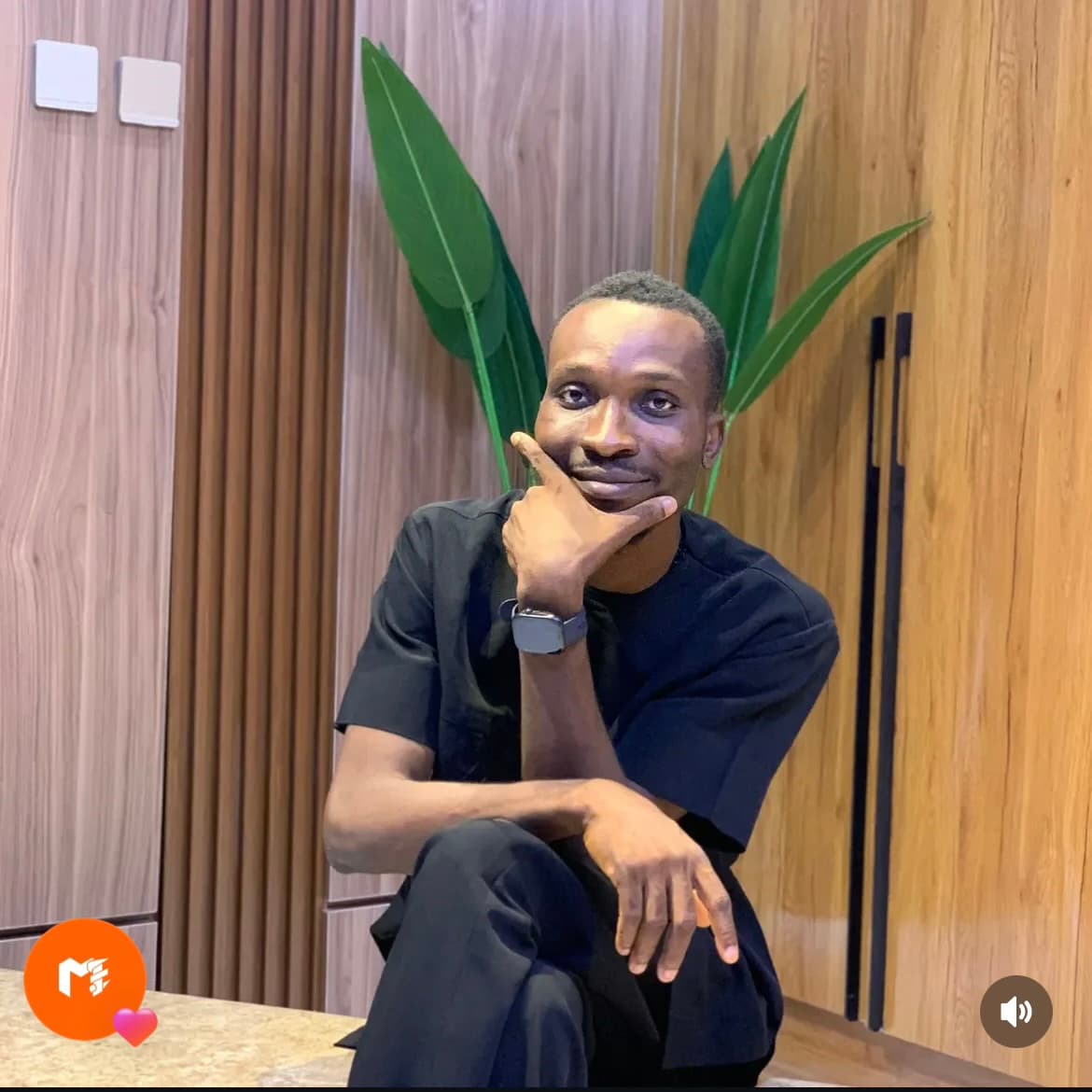 Chief Executive Officer of Mastech Electric Services Ltd.